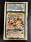 Raichu & Alolan Raichu GX
