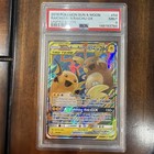Raichu & Alolan Raichu GX