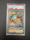 Raichu & Alolan Raichu GX