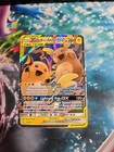 Raichu & Alolan Raichu GX