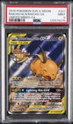 Raichu & Alolan Raichu GX