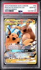 Raichu & Alolan Raichu GX