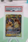 Raichu & Alolan Raichu GX