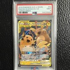Raichu & Alolan Raichu GX