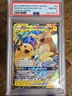 Raichu & Alolan Raichu GX