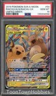 Raichu & Alolan Raichu GX
