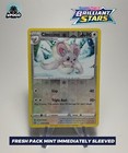 Cinccino