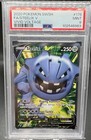Steelix V