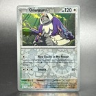 Oranguru