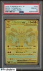 Mega Lucario ex