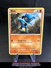 Riolu