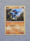 Riolu
