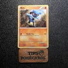 Riolu