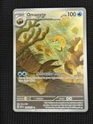 Omanyte