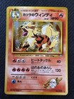 Blaine's Arcanine