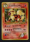Blaine's Arcanine
