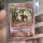 Blaine's Arcanine