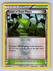 Forest of Giant Plants