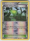 Forest of Giant Plants
