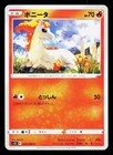 Ponyta