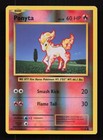 Ponyta