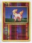 Ponyta
