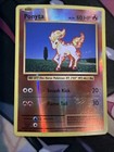 Ponyta