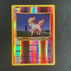 Ponyta