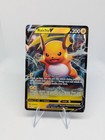 Raichu V