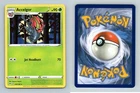 Accelgor