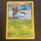 Accelgor
