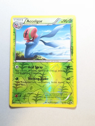 Accelgor