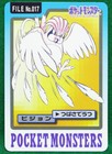 Pikachu and Pidgeotto