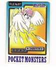 Pikachu and Pidgeotto