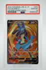 Lucario V 
