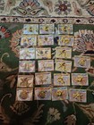 Zapdos