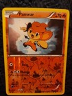 Pansear