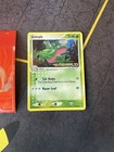 Grovyle