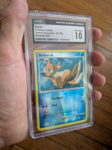 Buizel