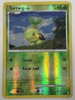 Turtwig