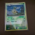 Turtwig