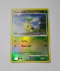 Turtwig