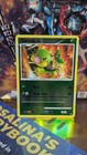 Turtwig
