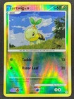 Turtwig