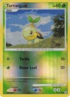 Turtwig