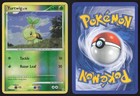 Turtwig