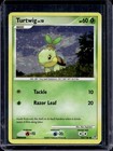 Turtwig