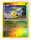 Turtwig