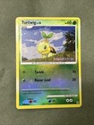 Turtwig