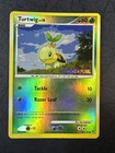 Turtwig